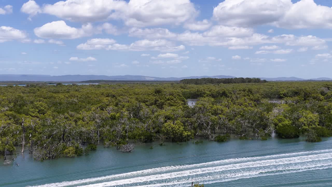 Ripresa aerea dall'alto con drone di una moto d'acqua che sfreccia attraverso rigogliosi canali di mangrovie australiane