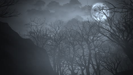 mysterious moonlit forest a hauntingly beautiful night scene