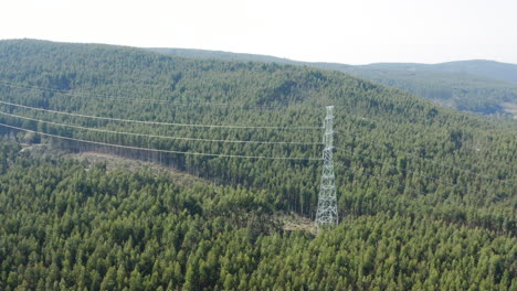 electricity metal pole standing amidst large cut in vast green forest - aerial fly-towards descending shot