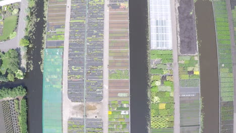 drone volando alto sobre el vivero