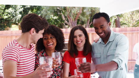 adult friends at a backyard party raising glasses to camera