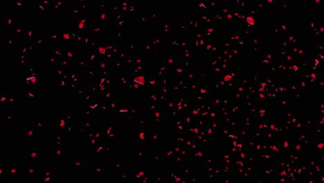 abstract falling red rose petals seasonal confetti blossom flying red rose petals fall floral
