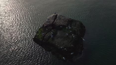 an aerial view of whale rock in the waters of the long island sound off the north fork of long island, ny