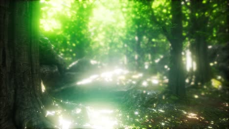 scenic forest of fresh green deciduous trees framed by leaves