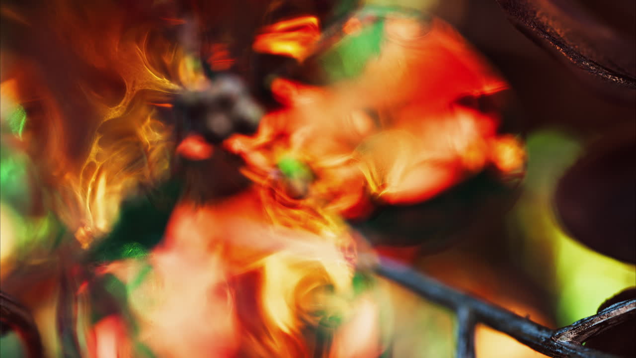 Close up of colourful Christmas lights in the shape of flowers on a tree