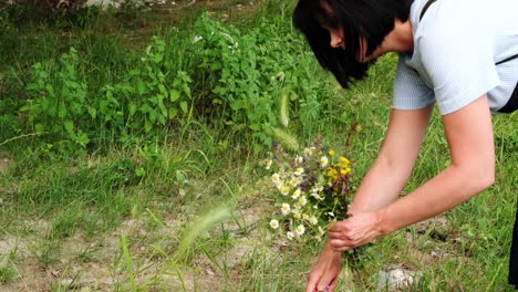 Junge-Frau-Handpflücken-Frühlingsblumen-In-Den-Wäldern,-Um-Einen-Blumenstrauß-Zu-Machen