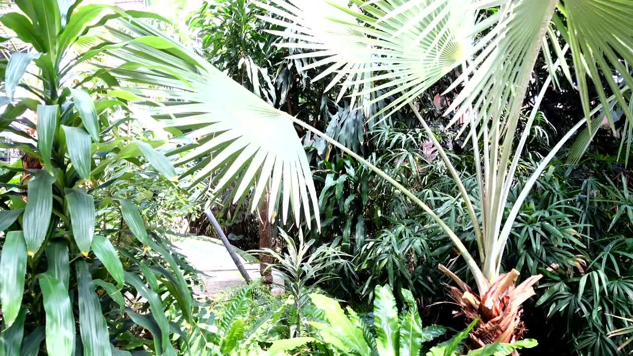 jardín tropical en la estación de atocha. madrid, españa.