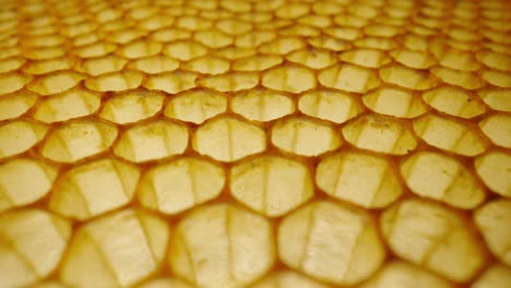 close-up of honeycomb structure