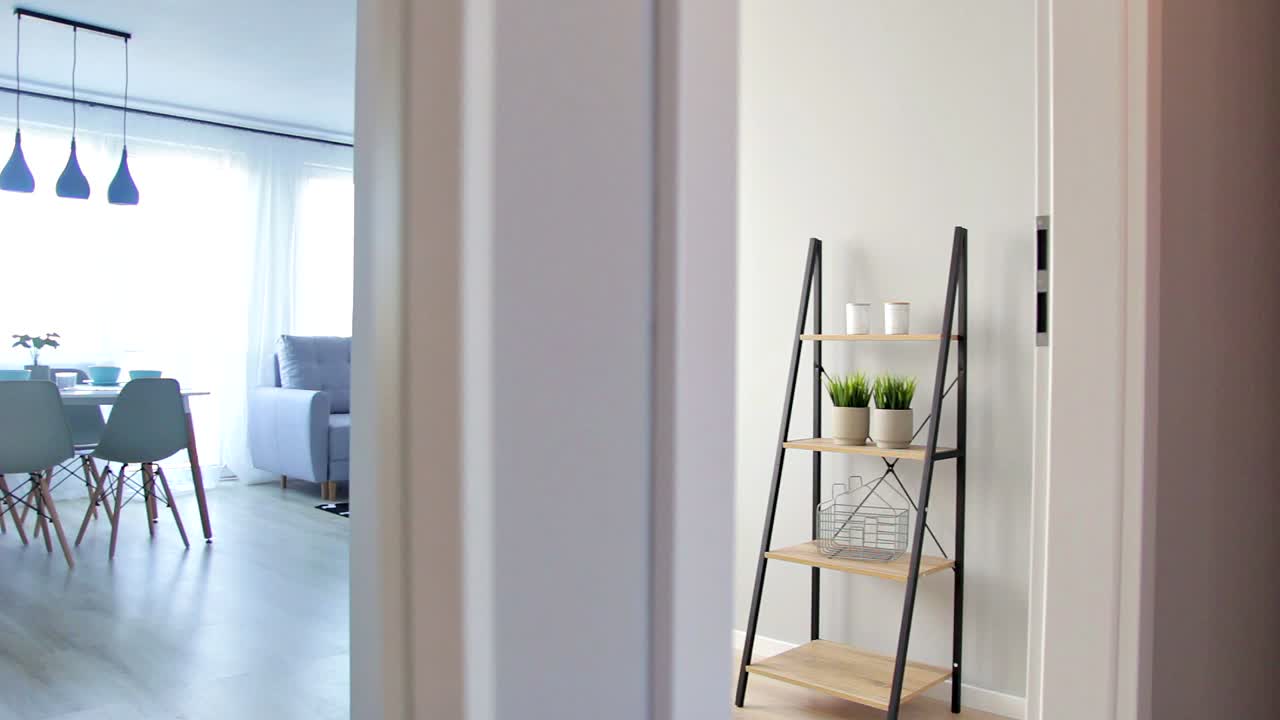 Smooth mirrored pan thru the apartment hall to lifing room