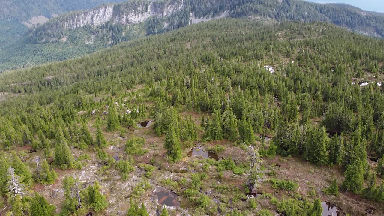 múltiples tarns en las montañas de la isla de vancouver, minnas ridge