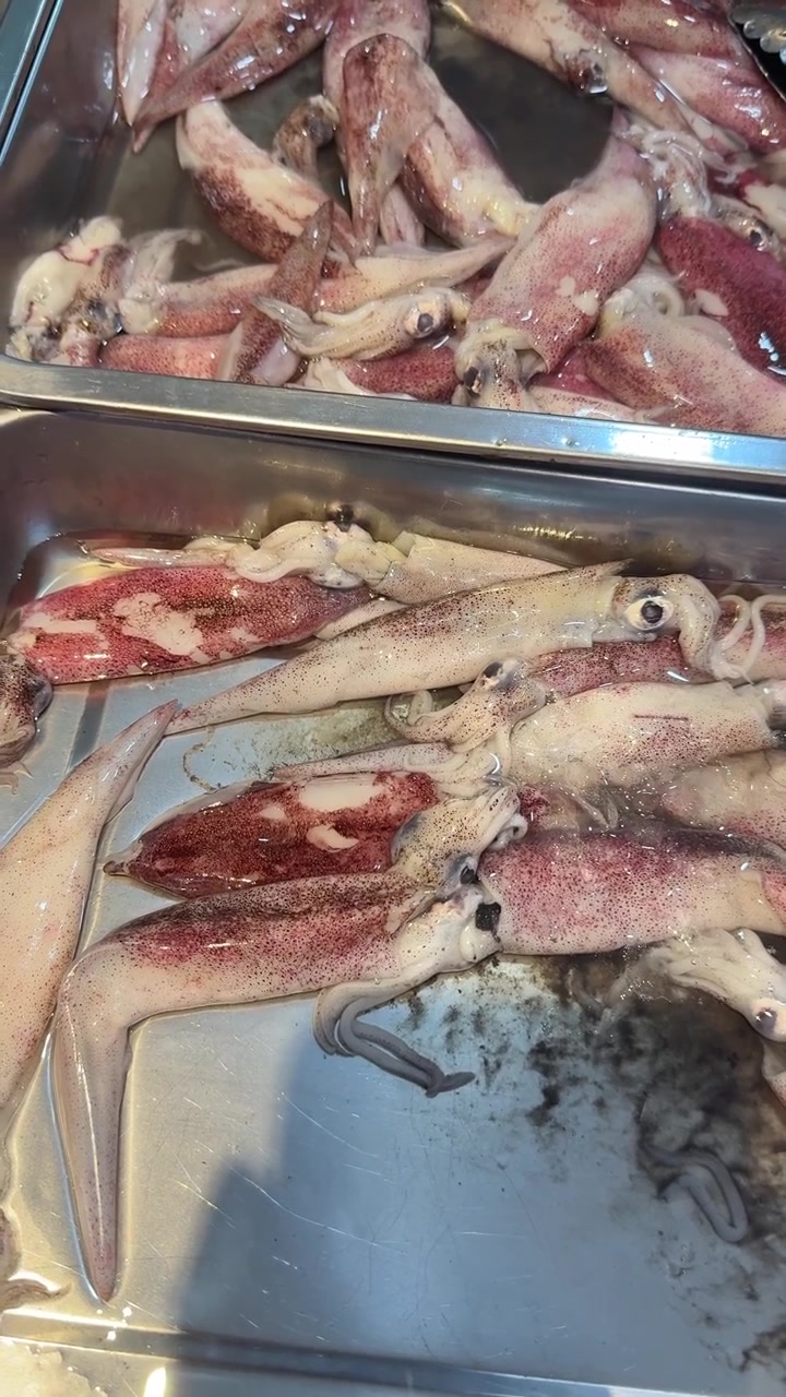 Gros plan de calmars frais et crus dans un plateau métallique sur un marché