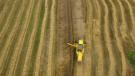 Aerial-view-of-a-yellow-combine-harvester-working-in-a-patterned-wheat-field,-creating-neat-rows