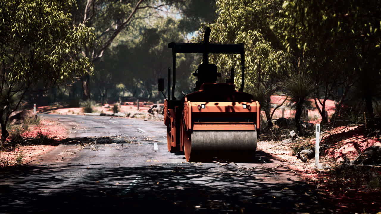 road roller tractor in the forest