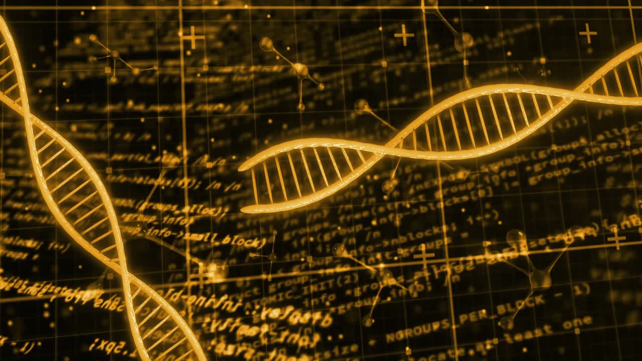 On play gold double-helix sweeping grid segments sliding badges rising lines linking showing stats