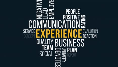 experience word cloud concept.