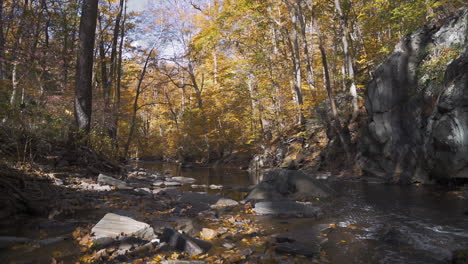 arroyo de otoño colorido con hojas de otoño cayendo en estática de cámara lenta