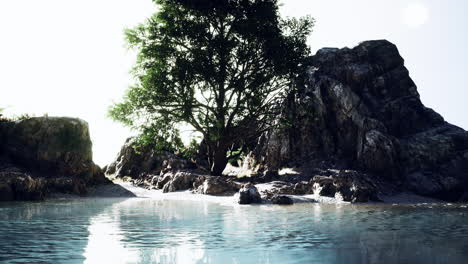 Beautiful-mountain-sea-cliff-on-seashore-with-tree