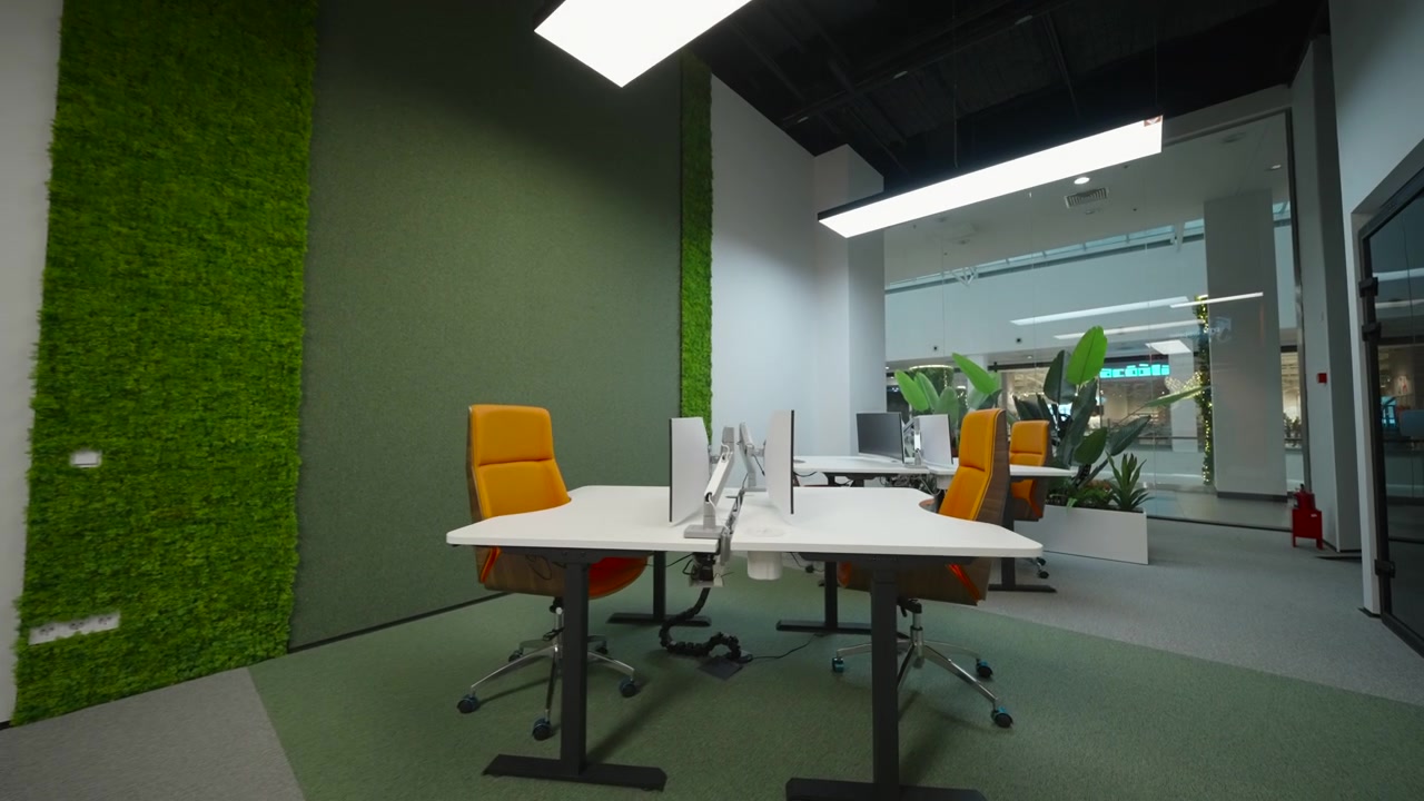 Interior de un lugar de trabajo contemporáneo y luminoso con filas de escritorios vacíos, sillas ergonómicas, particiones de vidrio, luces de techo, alfombra gris y una planta verde decorativa.