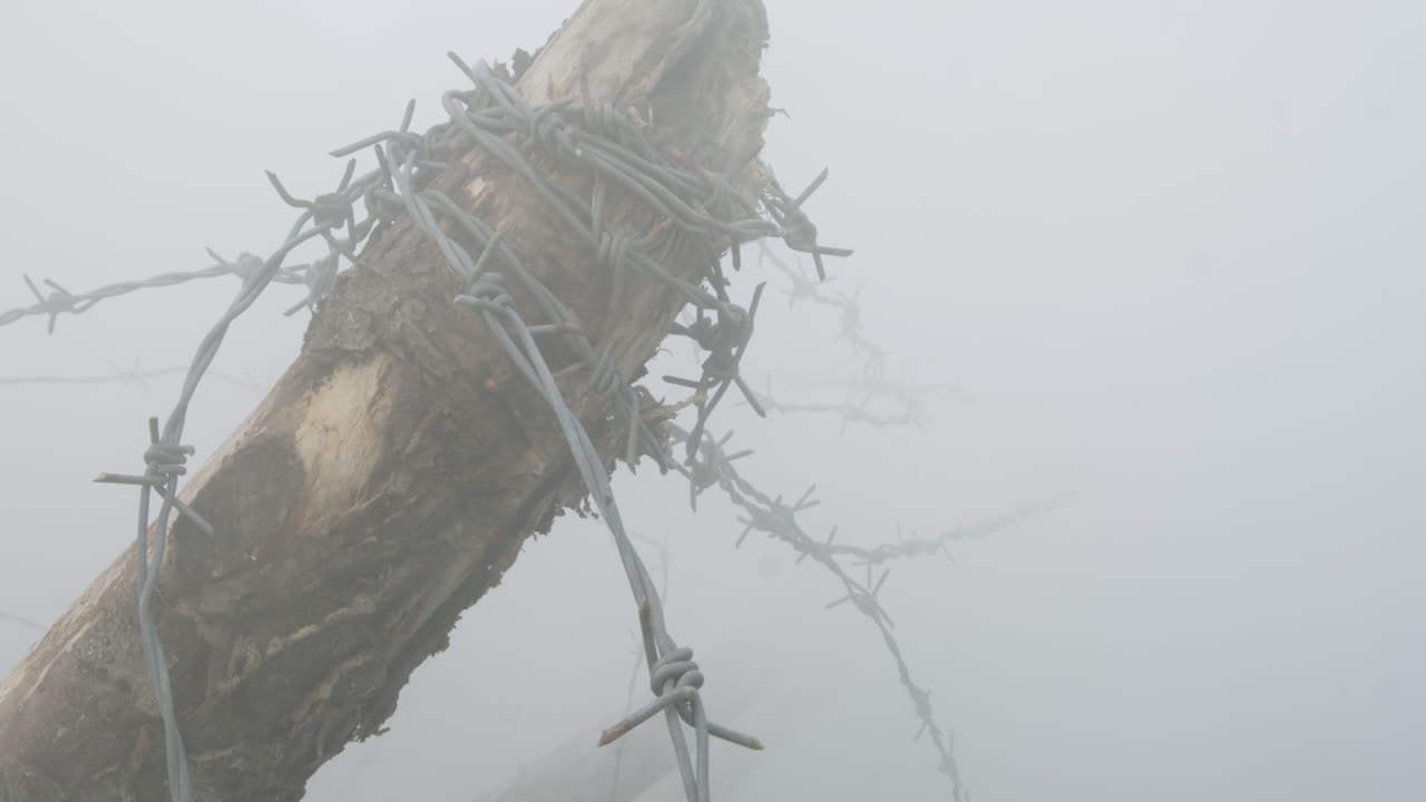 сломанный столб с намотанной колючей проволокой в тумане