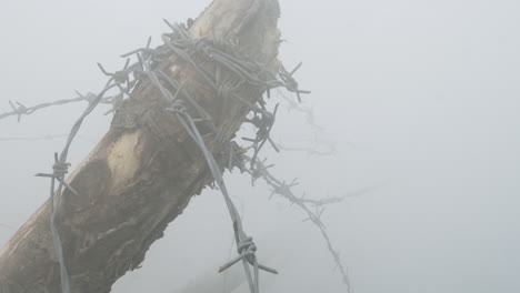 broken pole with coiled barbed wire in the fog