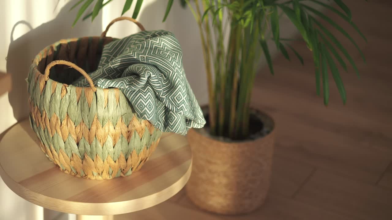 Basket with Blanket and Plant