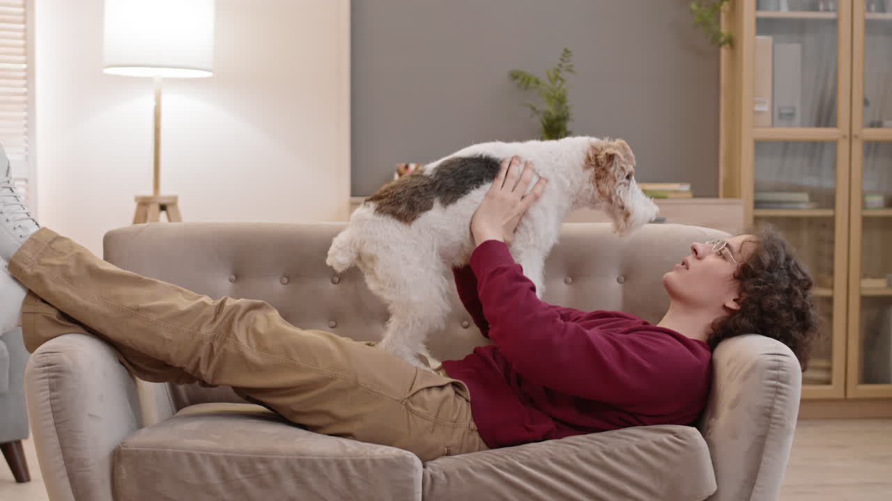 소파 에 있는 행복 한 폭스 테리어 소유자