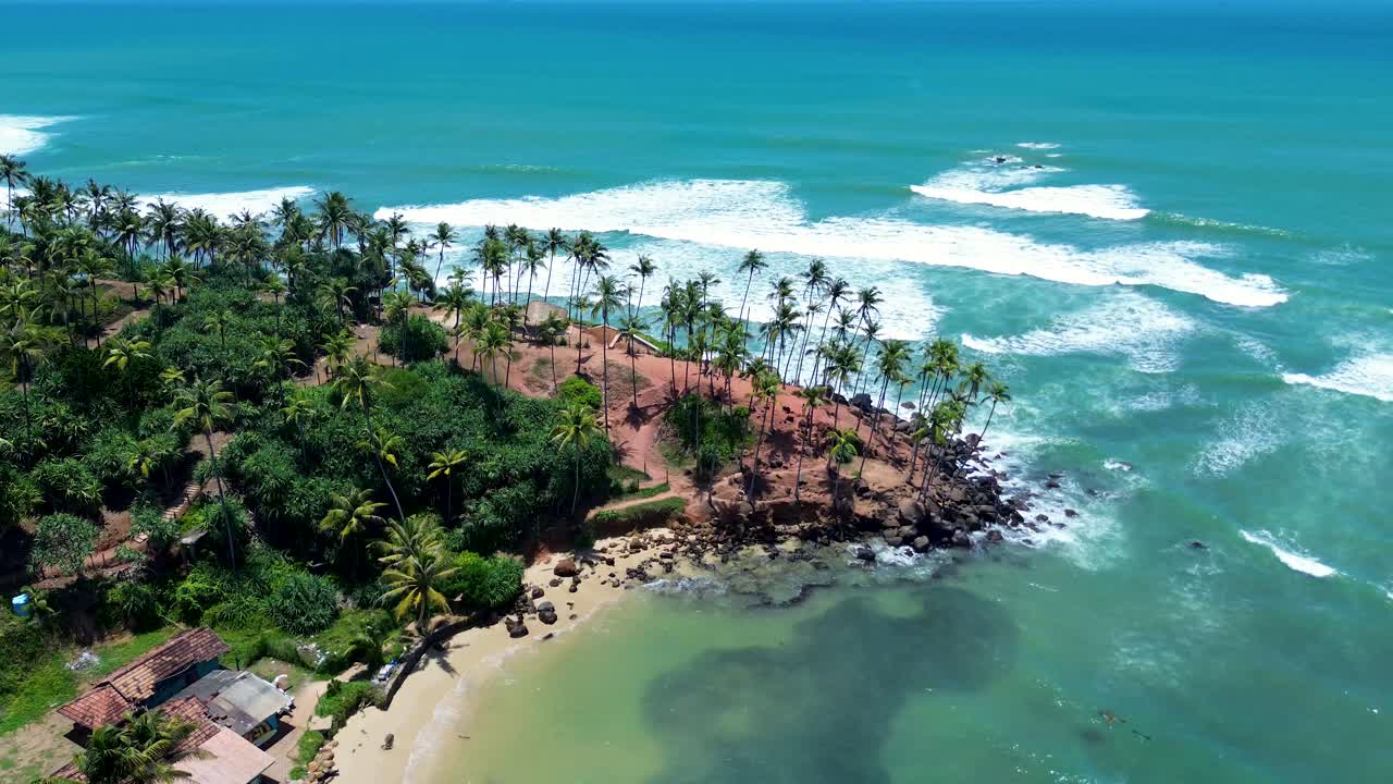 drone paisaje aéreo vista del árbol de coco colina plantación de palma cabecera punto de la bahía de mirissa sri lanka viajes turismo vacaciones naturaleza asia