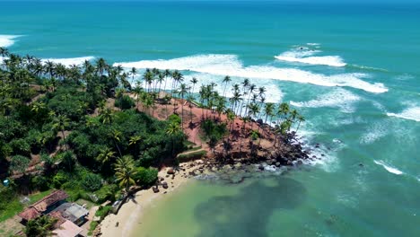 aerial drone landscape view of coconut tree hill palm plantation headland mirissa bay point sri lanka travel tourism holiday nature asia