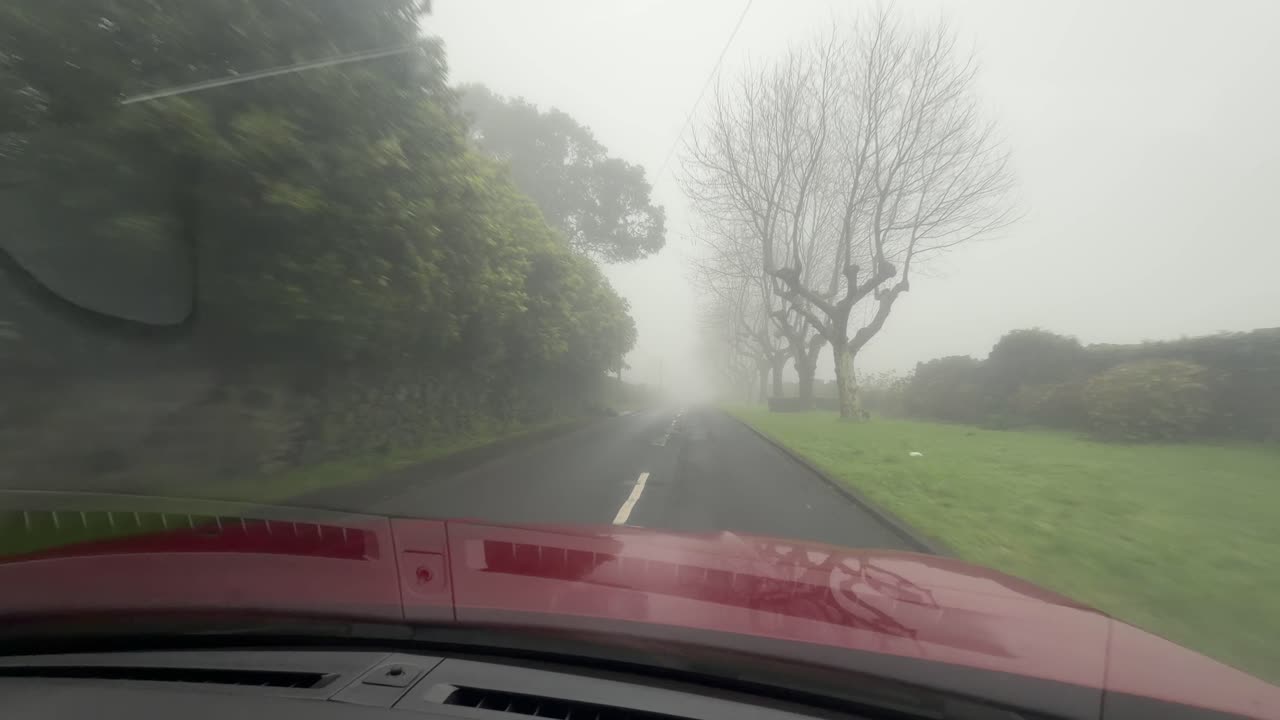 Auto che guida lungo una strada rurale nebbiosa con alberi spogli e bassa visibilità, Isola di São Miguel, Azzorre, Portogallo