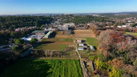 paisaje sereno de montpellier interrumpido por un entorno construido.