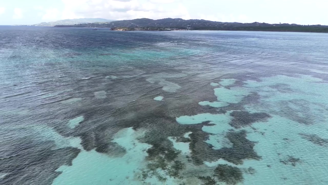 Veduta aerea con drone di Nylon Pool, una secca sabbiosa naturale e poco profonda nel Mar dei Caraibi vicino alla barriera corallina di Buccoo, isola di Tobago. Acqua turchese cristallina sopra le barriere coralline di Trinidad e Tobago