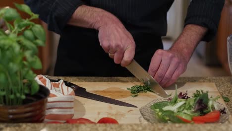 Cutting-basil-to-add-to-a-salad