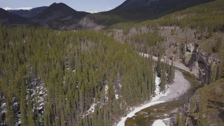 Sorvolo primaverile di un canyon di fiume boreale con montagne sullo sfondo