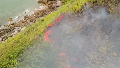 coastal mountain vegetation fire on windy day