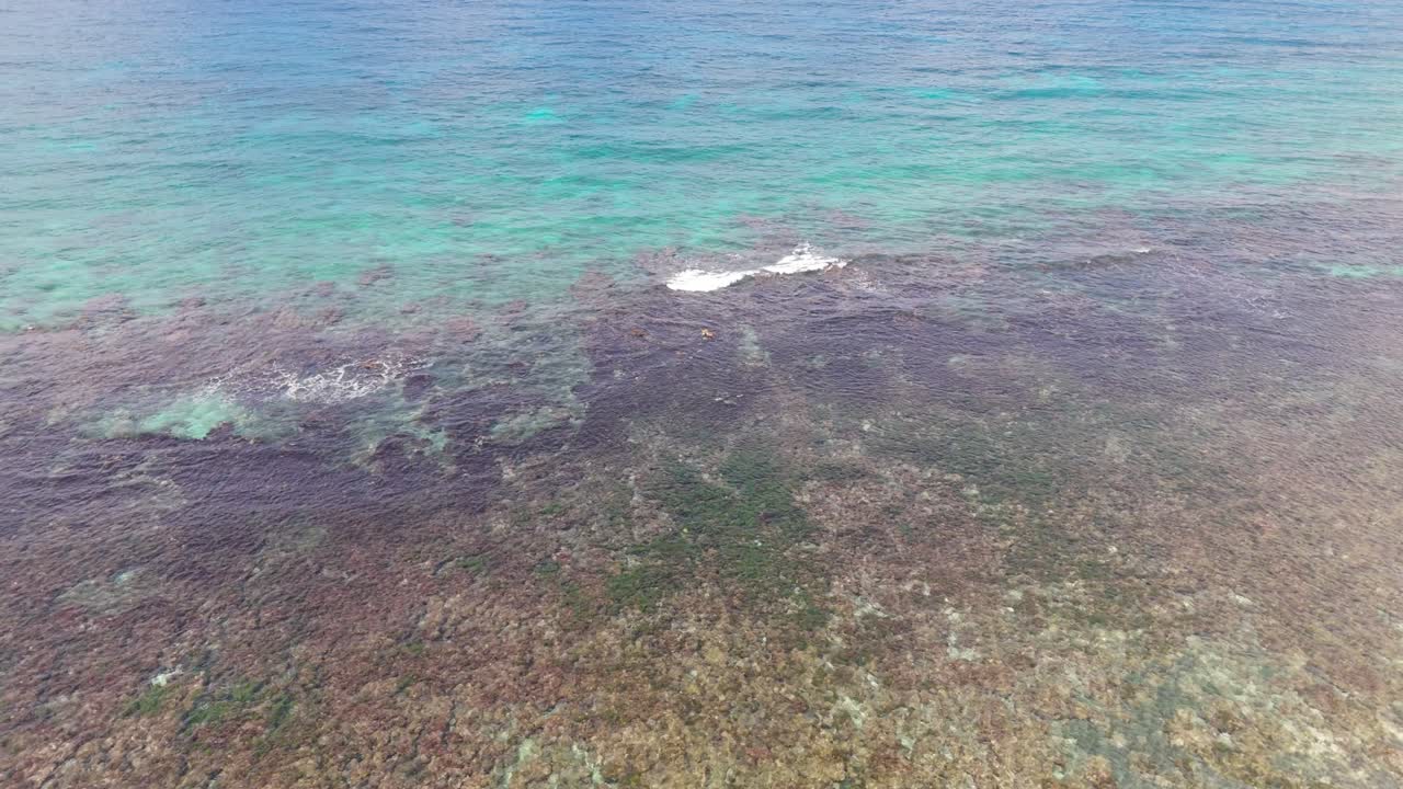 Blue Ocean With Reefs In Jamaica
