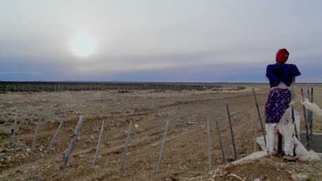 An-old-scarecrow-stands-near-a-field-at-sundown