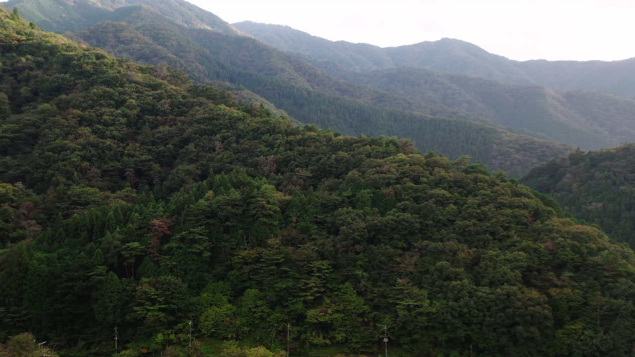 paisaje de densa vegetación y bosques en cadenas montañosas cerca del campo de okutama, japón