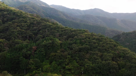 scenery of densely woodland and vegetation on mountain ranges near countryside of okutama, japan