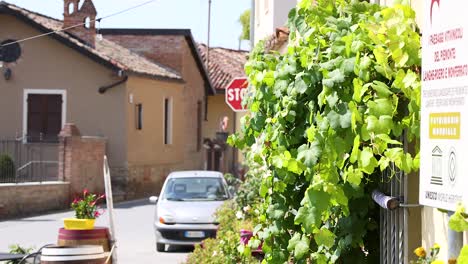 a car approaches a stop sign in turin