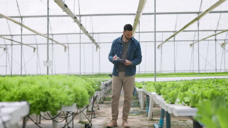 Man,-clipboard-and-checking-of-plants