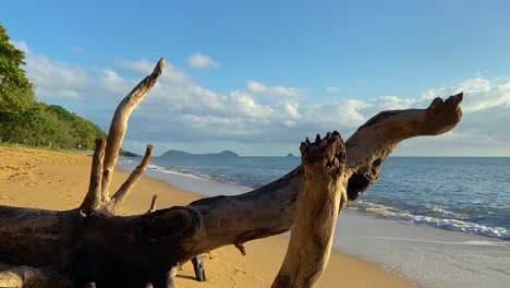 Ein-Alter-Angeschwemmter-Baumstamm-Steht-Im-Vordergrund-Dieser-Ruhigen-Strandaufnahme-Mit-Sanften-Wellen-Und-Inseln-Am-Horizont-Im-Tropischen-Nordqueensland