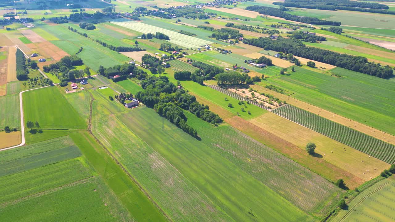 Abstract geometric shapes of agricultural parcels of different crops in yellow and green colors