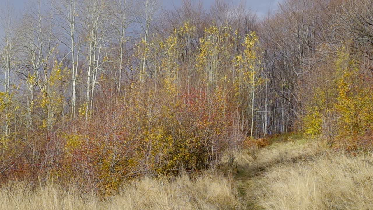 Paisaje de montaña de otoño