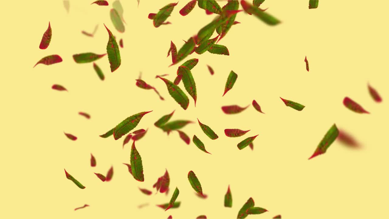 떨어지는 잎의 애니메이션 루프 가을