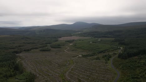 tiro de drone que muestra la deforestación en irlanda