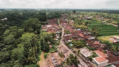 Bali-township-surrounded-by-jungle-and-fields,-aerial-view