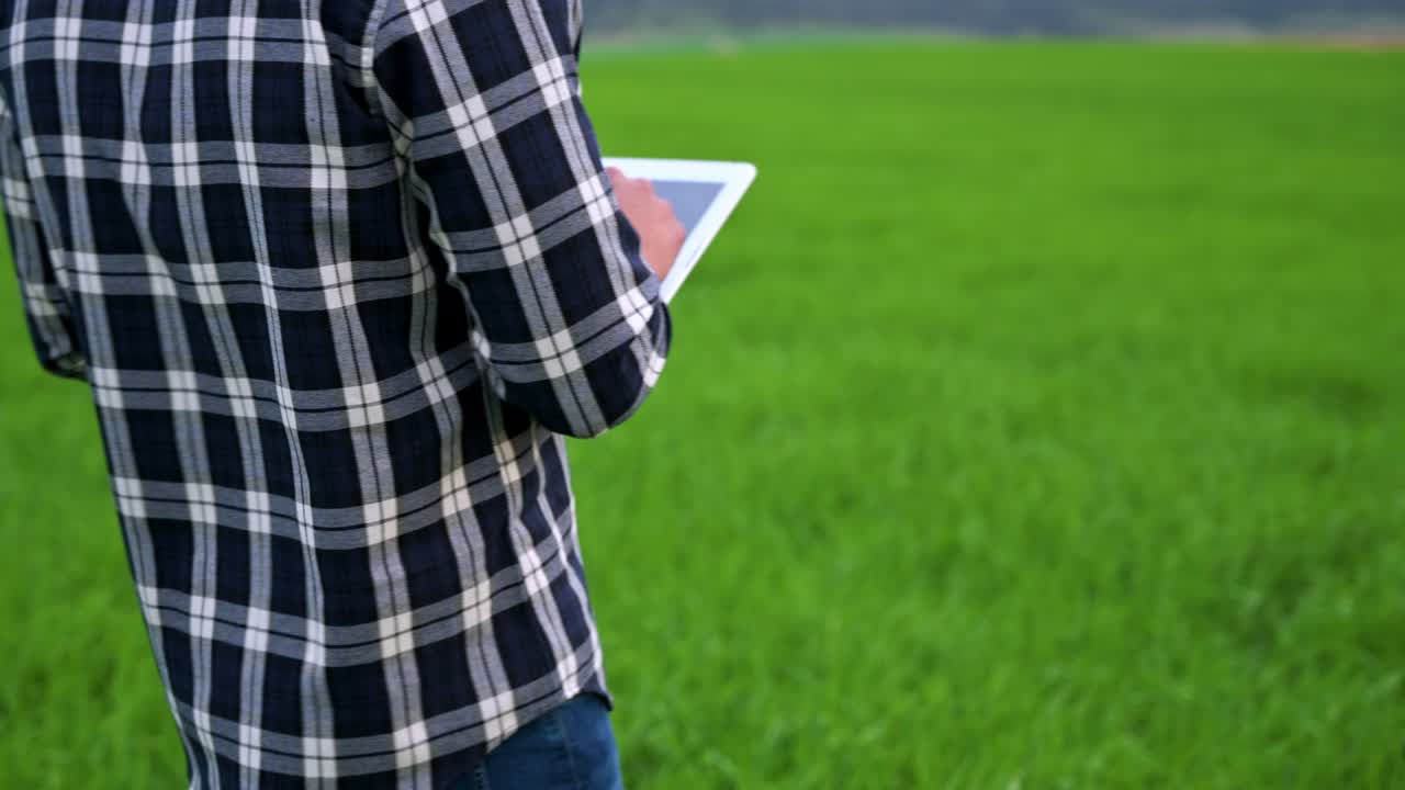 agrónomo camina a través del campo y trabaja en línea en una tableta, un agricultor hace un análisis de los cultivos en el suelo, la vida agrícola. imágenes de alta calidad 4k