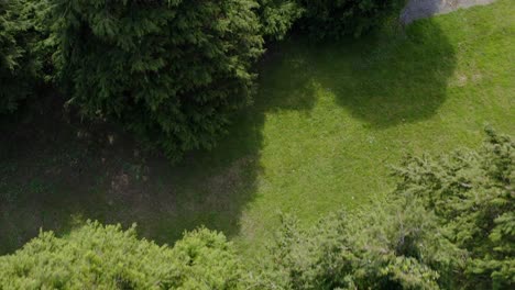 dense vegetation grows over cargin church, aerial top down overview