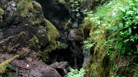 cave opening in a lush forest