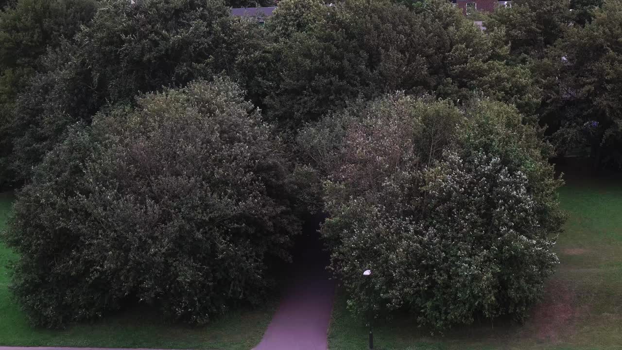 hyllie malmo 스웨덴의 녹색 팩에 부는 나무